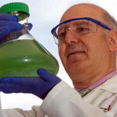 Chlorine plus UV light can detoxify water affected by harmful algae blooms