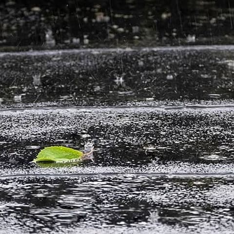 Wiki rain