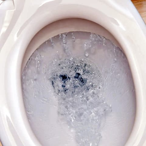 toilet