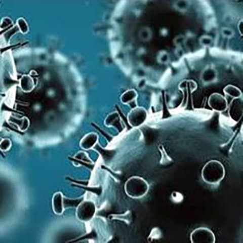 flu virus