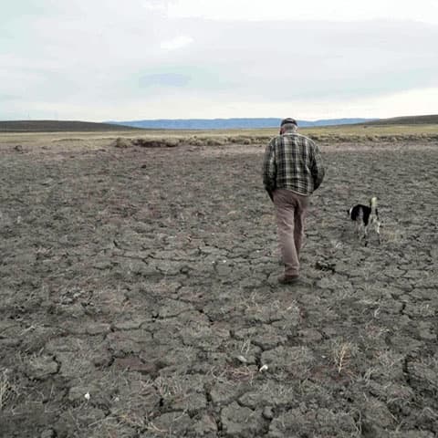 Record U.S. drought sparks worries about fires, water supply and food prices