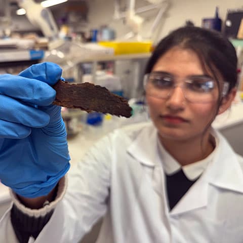 Eucalyptus bark points the way to cleaner water and air
