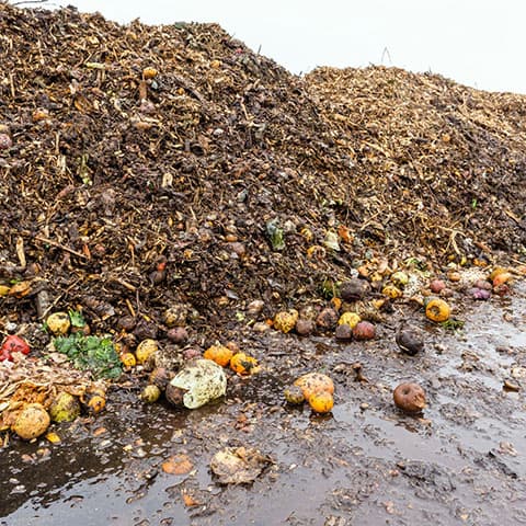 Researchers study the hidden cost of food waste