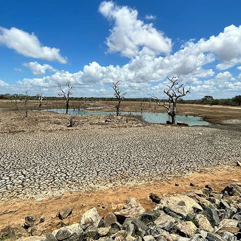 Drought extremes are intensifying more rapidly than in the past, study says
