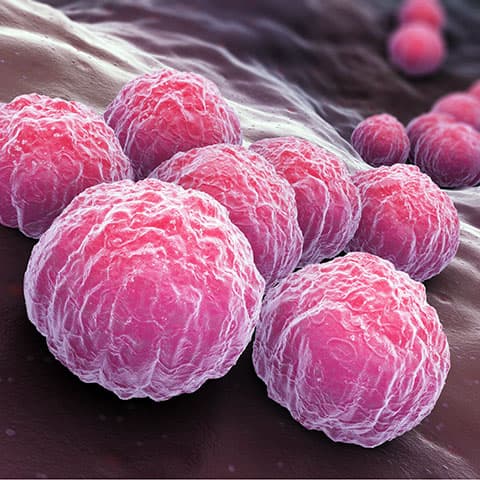 UW, Washington Department of Health show it’s possible to test wastewater for STIs