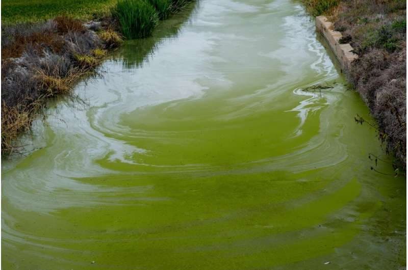 Iron complex breaks down stubborn pollutant using light-powered reaction
